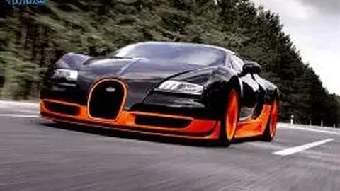 罗欣棫生日快乐：愿你在时光之田磨砺成长，如棫枝繁茂