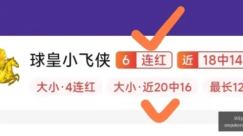 俱乐部官网，WEpoker下载， 065733 01